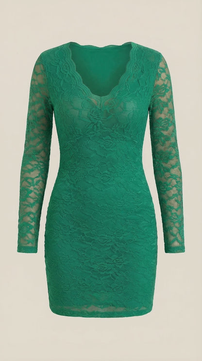 Vestido Mini Sadie Ajustado de Encaje